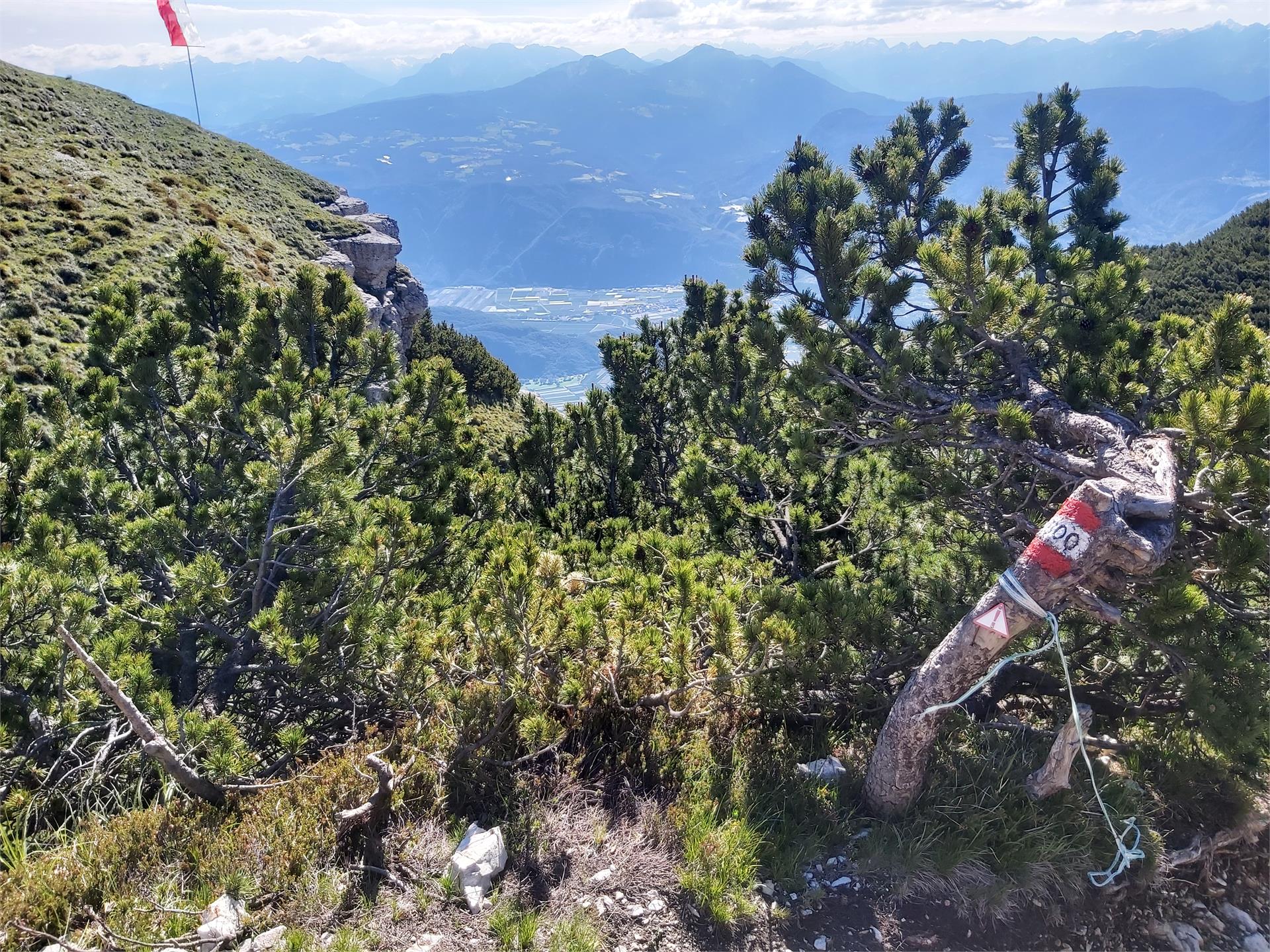 Hiking tour Mendelpass - Roen Kaltern an der Weinstraße/Caldaro sulla Strada del Vino 10 suedtirol.info