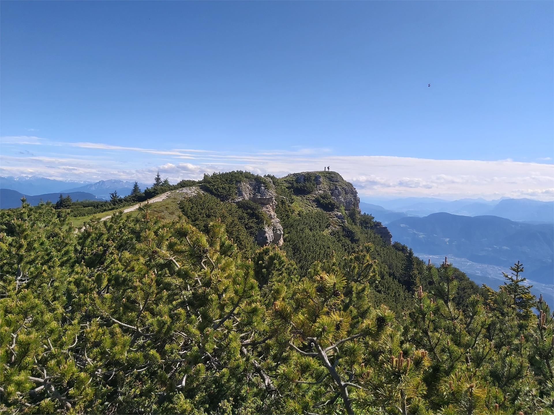 Hiking tour Mendelpass - Roen Kaltern an der Weinstraße/Caldaro sulla Strada del Vino 12 suedtirol.info