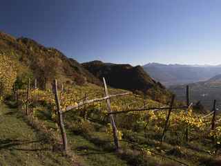 Wanderung Tschirgl Höfe