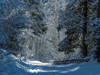 Winterwanderung: Pflerscher Talweg - Brenner - #2 - suedtirol.info