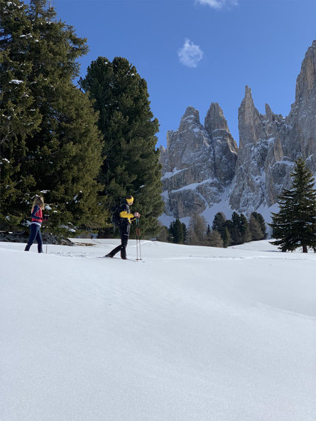 Winter hike on Tschafon and the Völsegg Peak Völs am Schlern/Fiè allo Sciliar 1 suedtirol.info