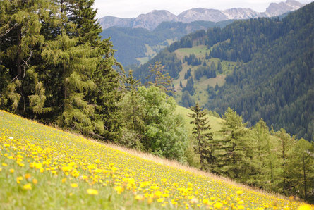 Walking trail from Lungiarü across Spizan - Juvel and back to Lungiarü La Val 4 suedtirol.info