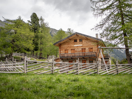 Wanderung zur Kuppelwieser Alm Ulten 1 suedtirol.info