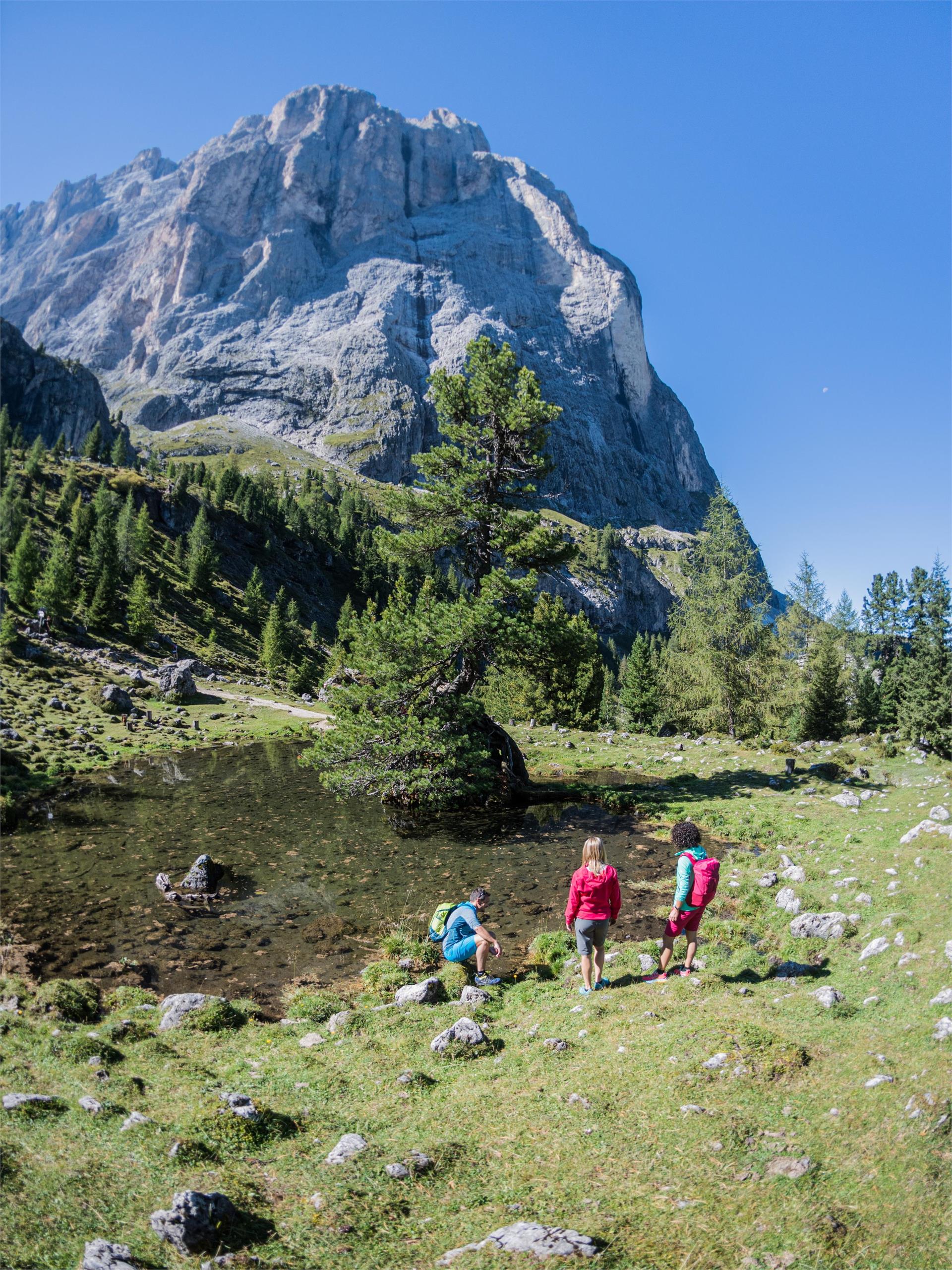 Wanderung von St. Christina zum Sellajoch St.Christina in Gröden 2 suedtirol.info