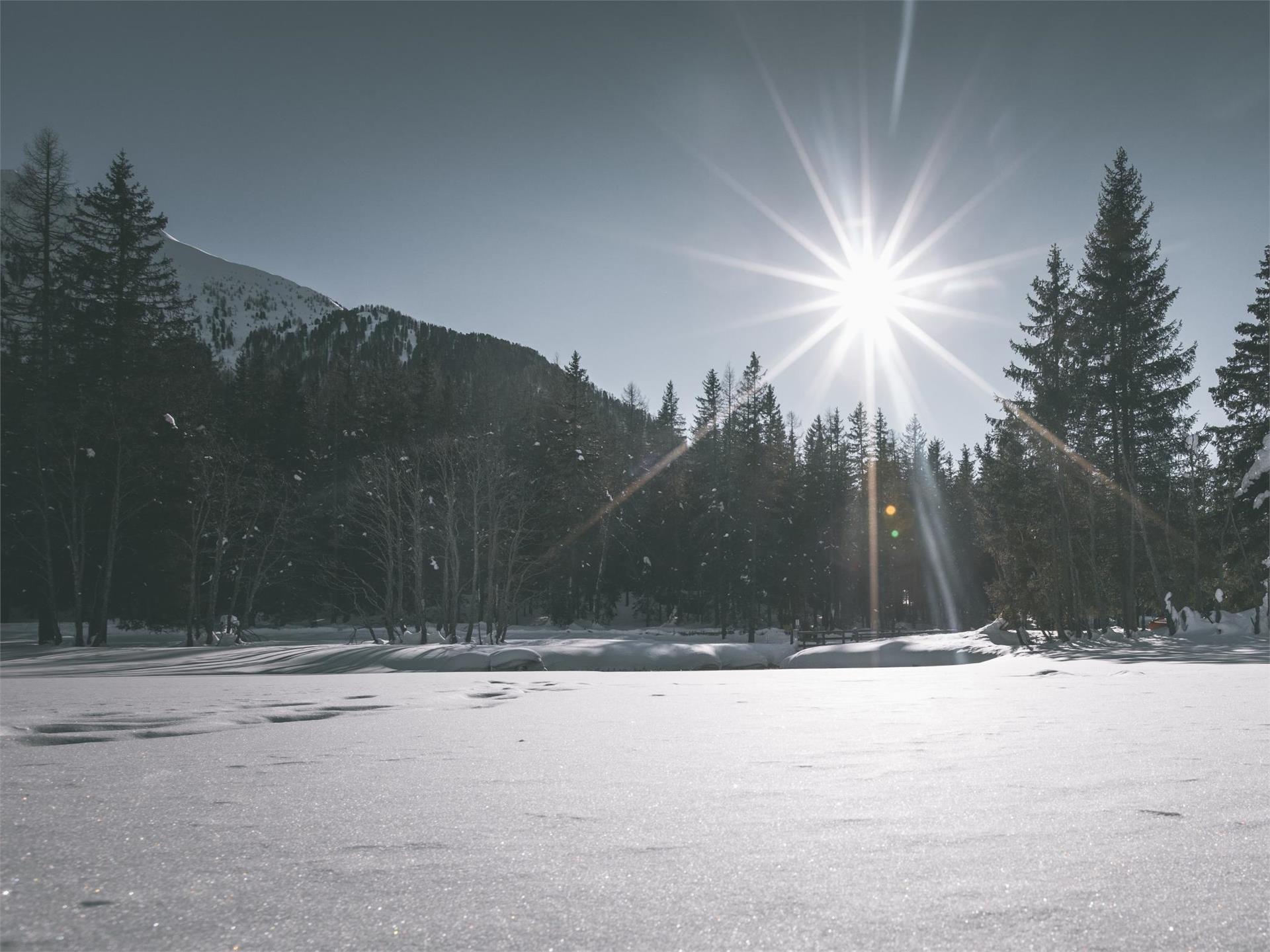 Winterwanderung: Niederrasen - Oberstall - Oberrasen Rasen-Antholz 1 suedtirol.info