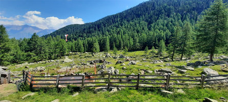 Escursione alla Malga di Latschinigo Castelbello-Ciardes 2 suedtirol.info