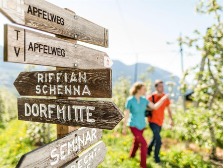 Hike from Dorf Tirol/Tirolo to Schenna/Scena Schenna/Scena 3 suedtirol.info