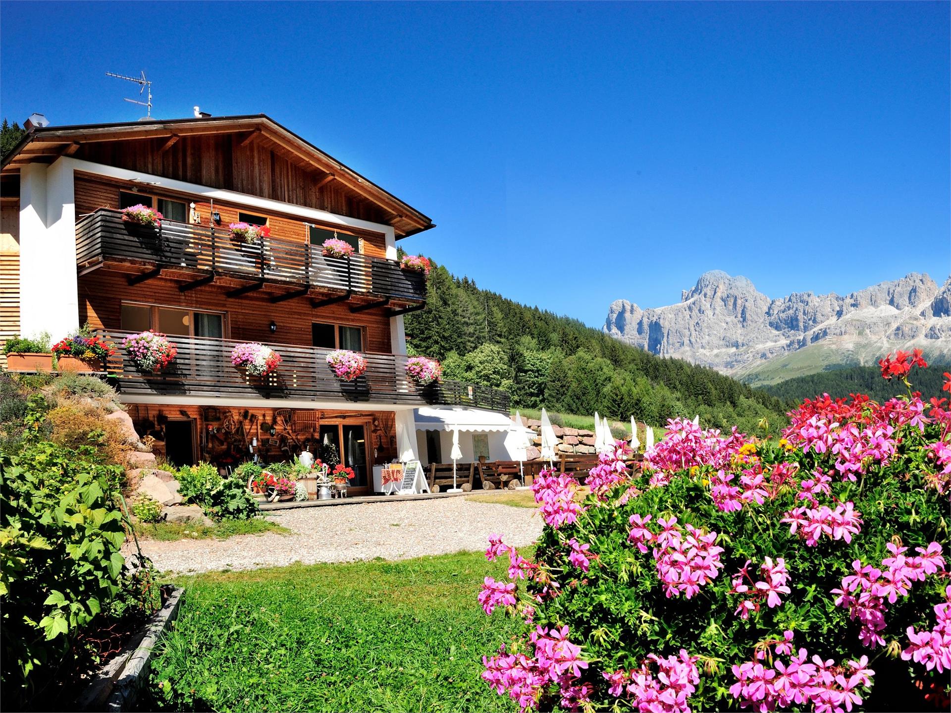 Escursione da Nova Levante alla Malga Stadel Alm e al Lago di Carezza Nova Levante 2 suedtirol.info