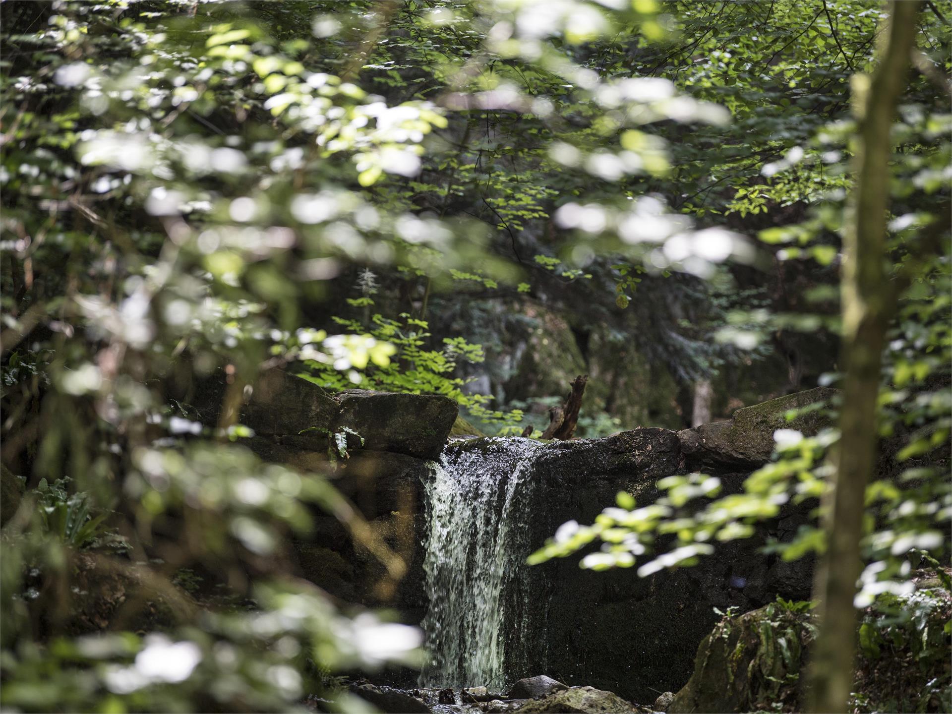 Wanderung durch die Rastenbachklamm Kaltern an der Weinstraße 4 suedtirol.info