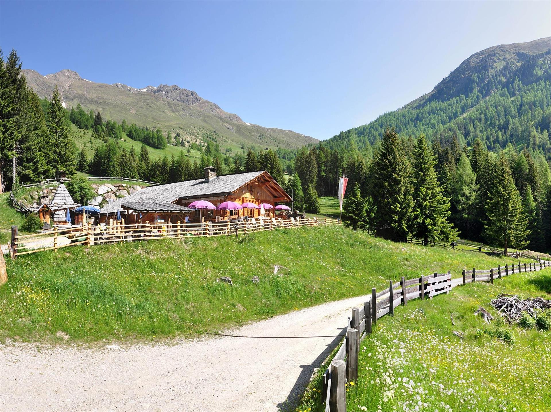 La malga Messnerhütte in Val Casies (1660m) Valle di Casies 4 suedtirol.info