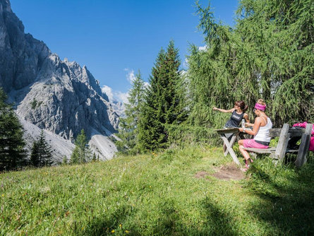 Escursione: Nella Val Campo di Dentro Sesto 1 suedtirol.info