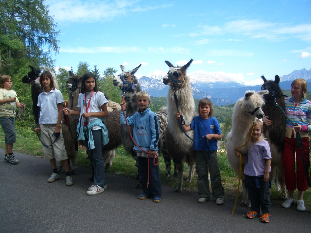 Hiking with Lamas Ritten/Renon 2 suedtirol.info