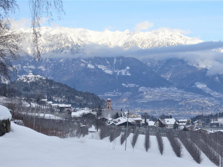 Passeggiata invernale da Prissiano a Tesimo e indietro Tesimo 1 suedtirol.info