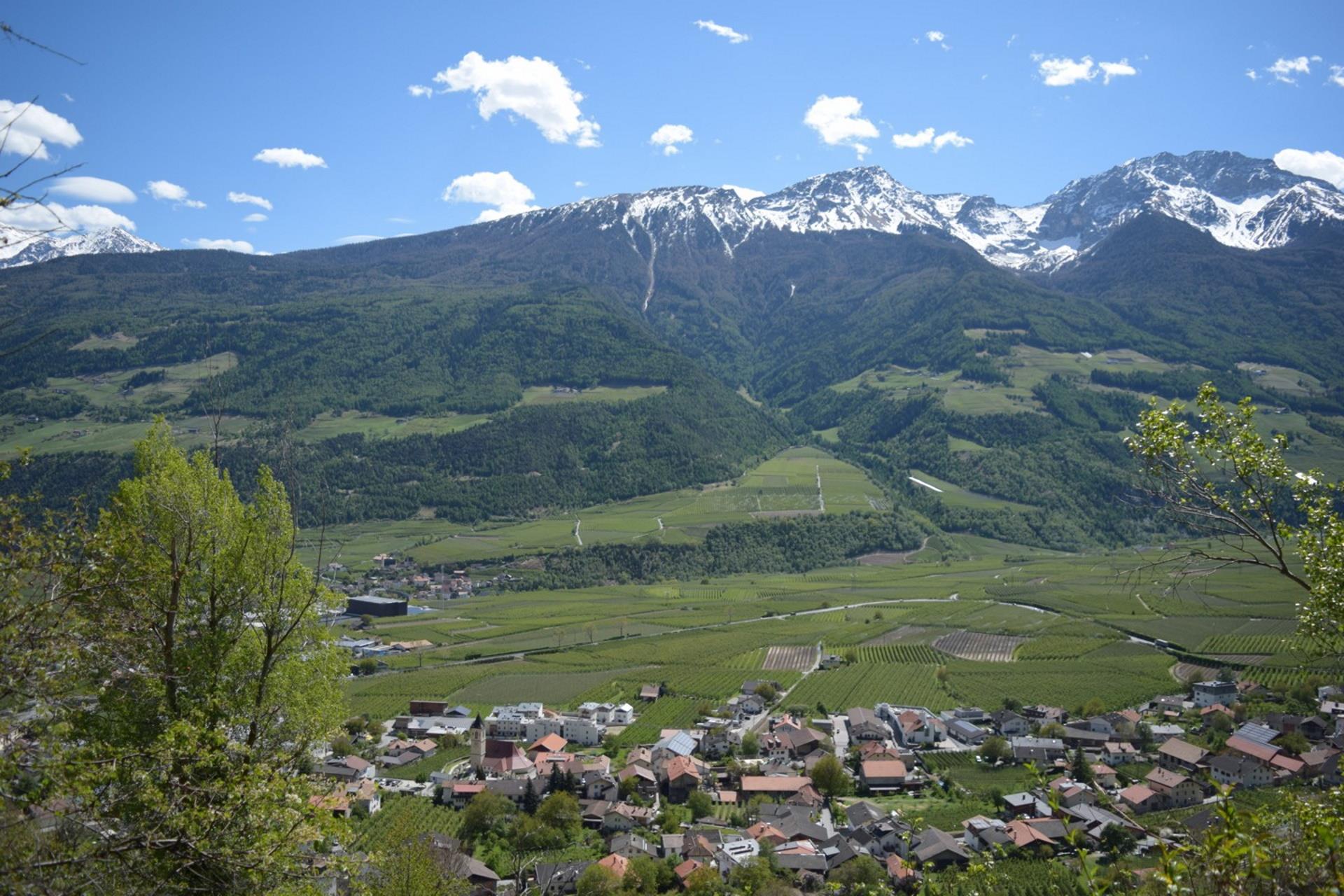 "Zaalwaal" irrigation channel path Schlanders/Silandro 6 suedtirol.info