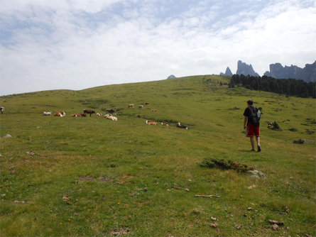 Escursione al Brogles Ortisei 3 suedtirol.info