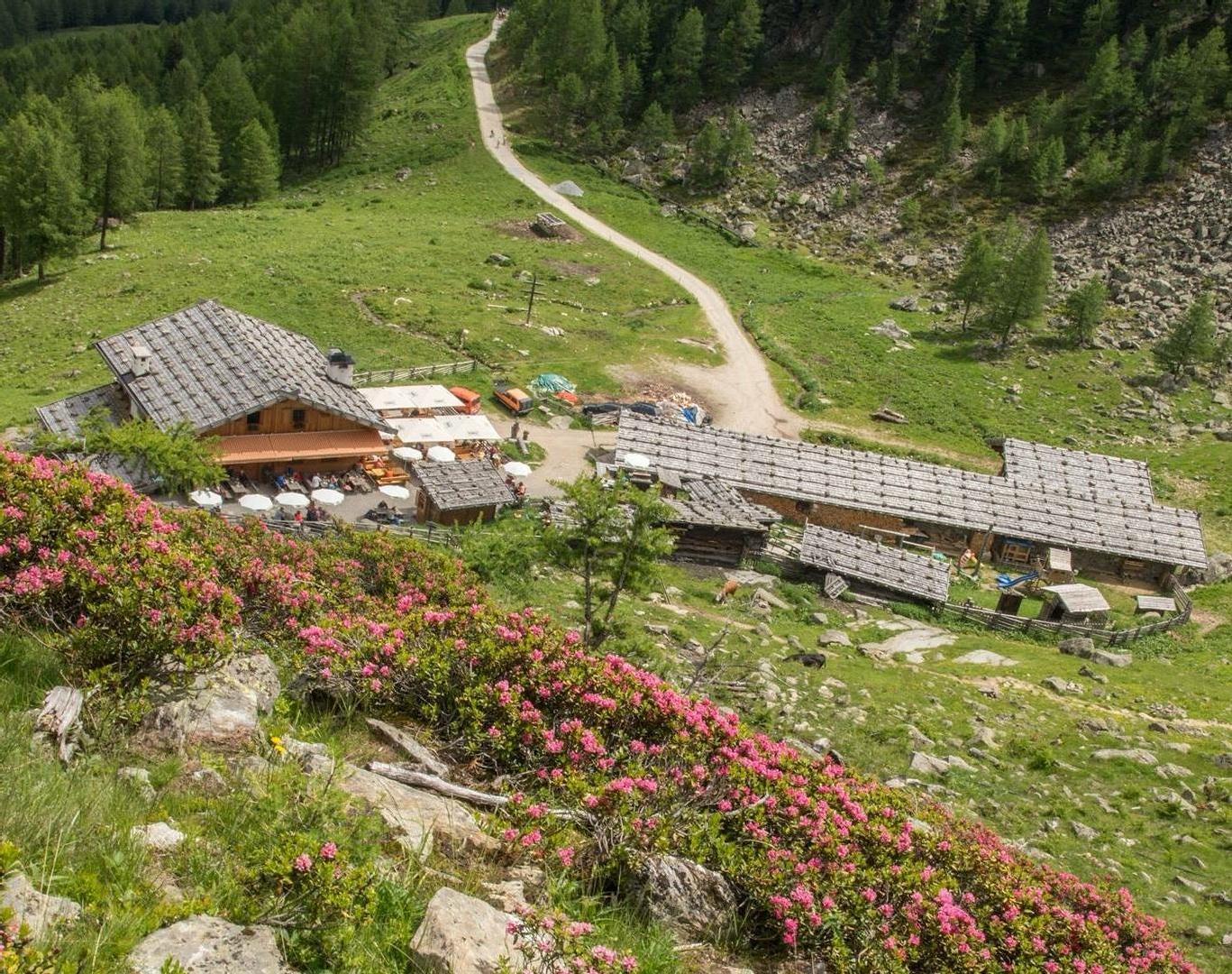 Wanderung zur Fiechtalm Ulten 1 suedtirol.info