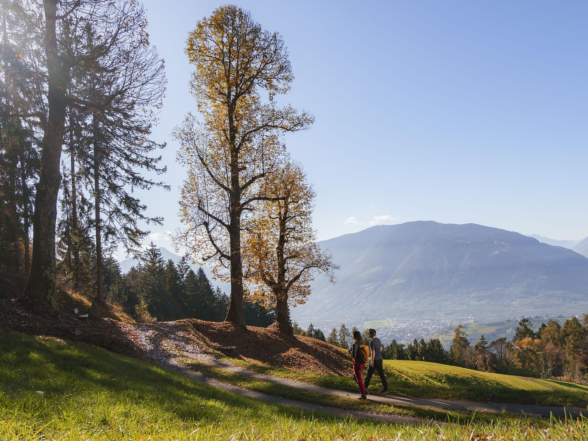 Hike to Schnugger Hof Farm Schenna/Scena 2 suedtirol.info