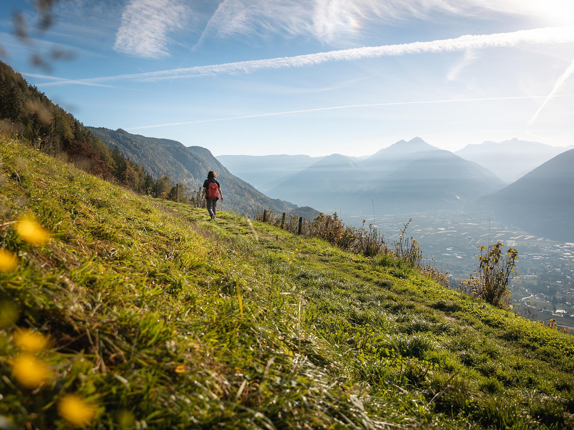 Hike to Schnugger Hof Farm Schenna/Scena 3 suedtirol.info