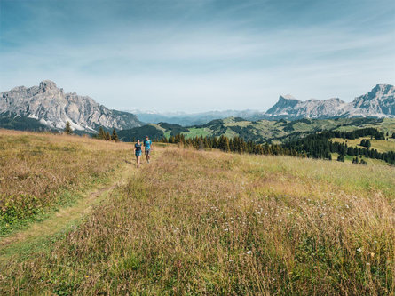 Hike Planac - Cherz Corvara 1 suedtirol.info