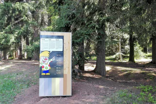 Wald-Wild-Wunder-Weg - Ritten - #3 - suedtirol.info