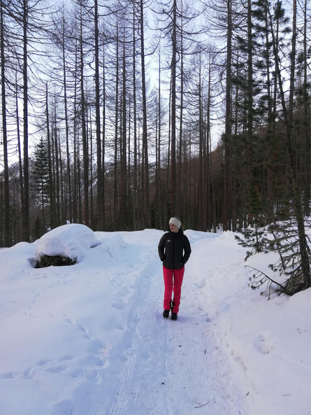 Winter hiking trail to Gerstgras Schnals/Senales 3 suedtirol.info