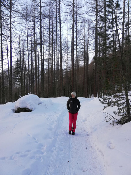 Winterwanderweg Gerstgras Schnals 3 suedtirol.info