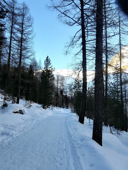 Winter hiking trail to Gerstgras Schnals/Senales 2 suedtirol.info