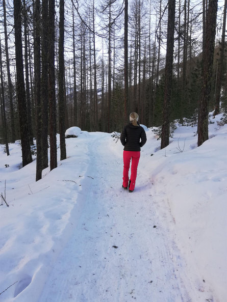 Winter hiking trail to Gerstgras Schnals/Senales 1 suedtirol.info