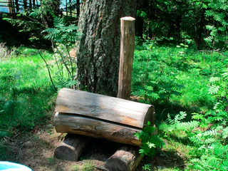 Walderlebnispfad Aschbach – Familienrundwanderung mit Panorama - Algund - #18 - suedtirol.info