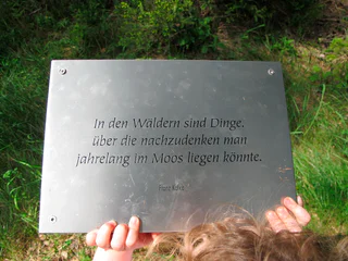Walderlebnispfad Aschbach – Familienrundwanderung mit Panorama - Algund - #31 - suedtirol.info