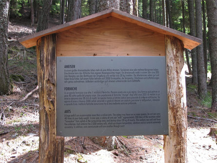 Il sentiero didattico tra i boschi di Rio Lagundo Parcines 27 suedtirol.info