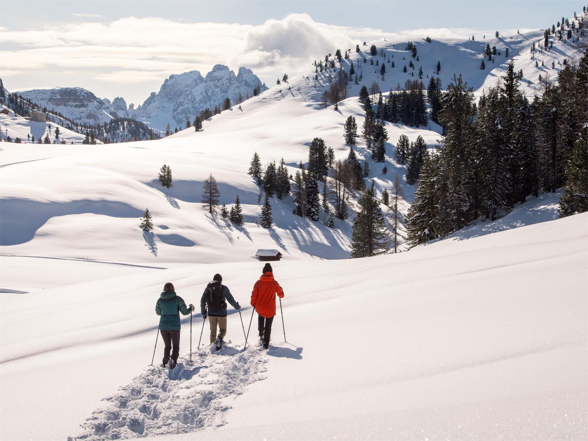 Summer hiking tour - Prato Piazza/Plätzwiese - Monte Specie/Strudelkopf -  Activities and Events in South Tyrol