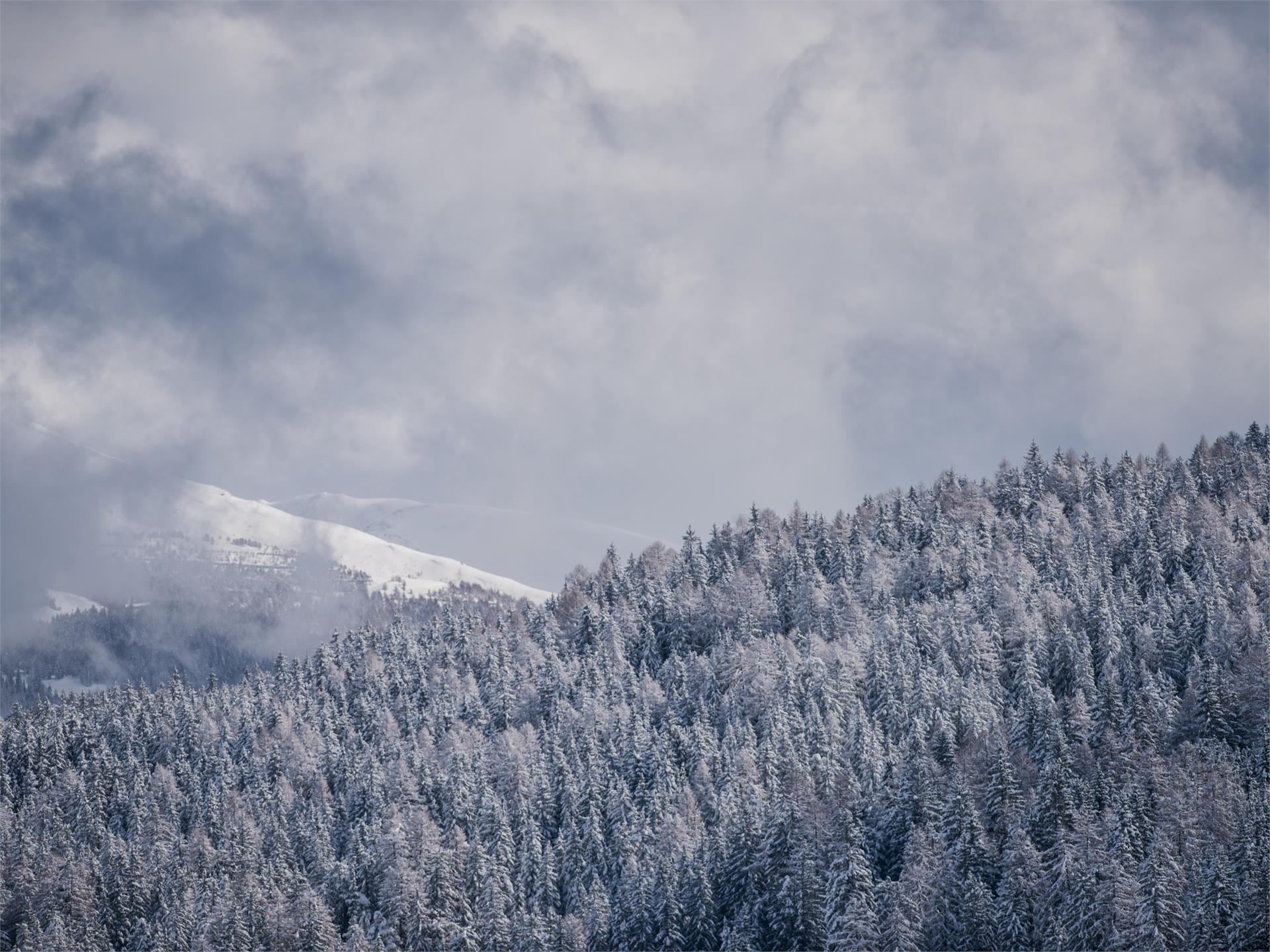 Winter walk in the Silvestertal/San Silvestro valley Innichen/San Candido 2 suedtirol.info