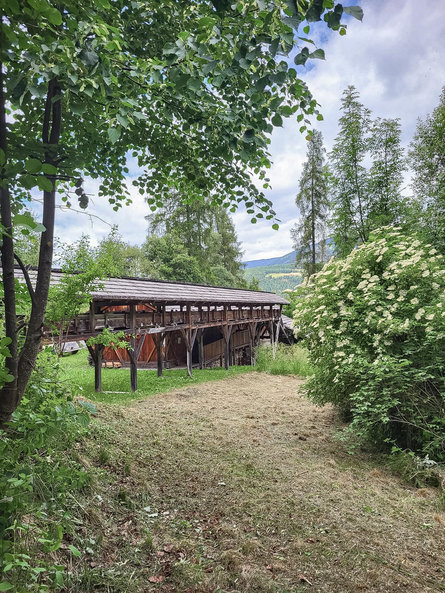 Sentiero dei mulini Valdaora 3 suedtirol.info