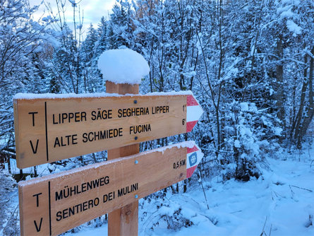 Mill path Olang/Valdaora 3 suedtirol.info