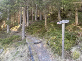 Von Obertal zum Wasserfall Gurgl - Ratschings - #4 - suedtirol.info