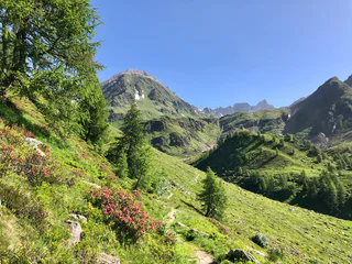Wanderung Schneeberg - Moos in Passeier - #2 - suedtirol.info