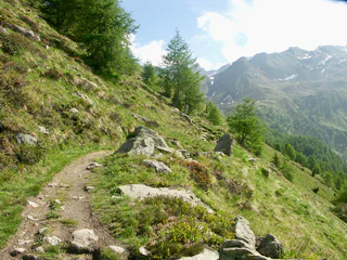 Wanderung Schneeberg - Moos in Passeier - #3 - suedtirol.info