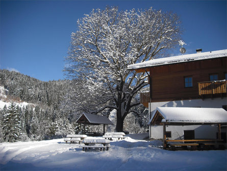 Winter excursion  Schlaneid - Bacherhof - St. Ulrich Mölten/Meltina 1 suedtirol.info