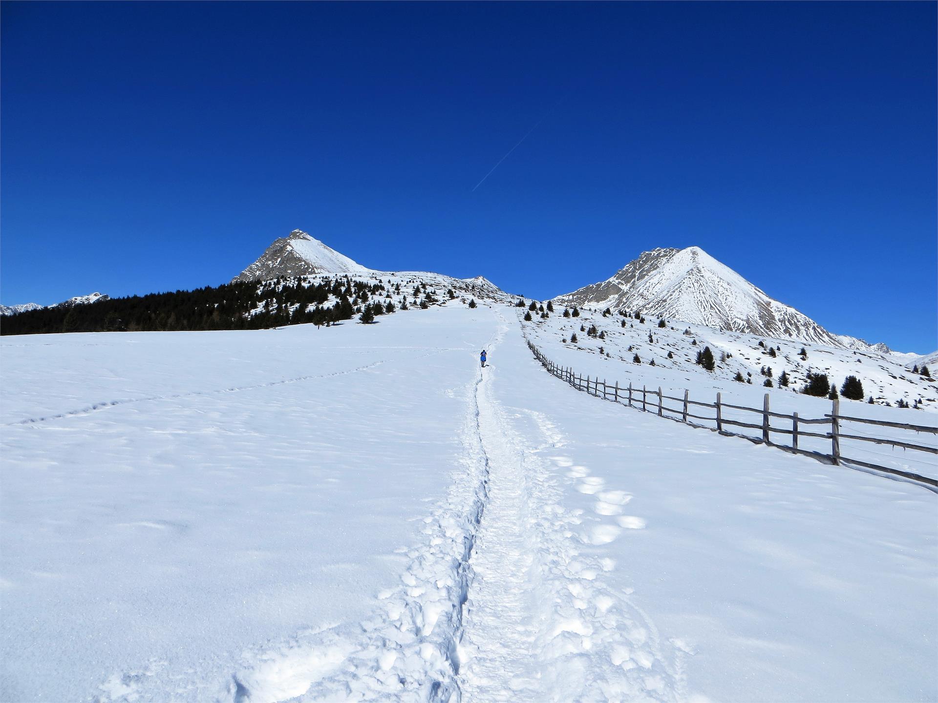 Winter-Panoramawanderung für Sportler Hafling 2 suedtirol.info