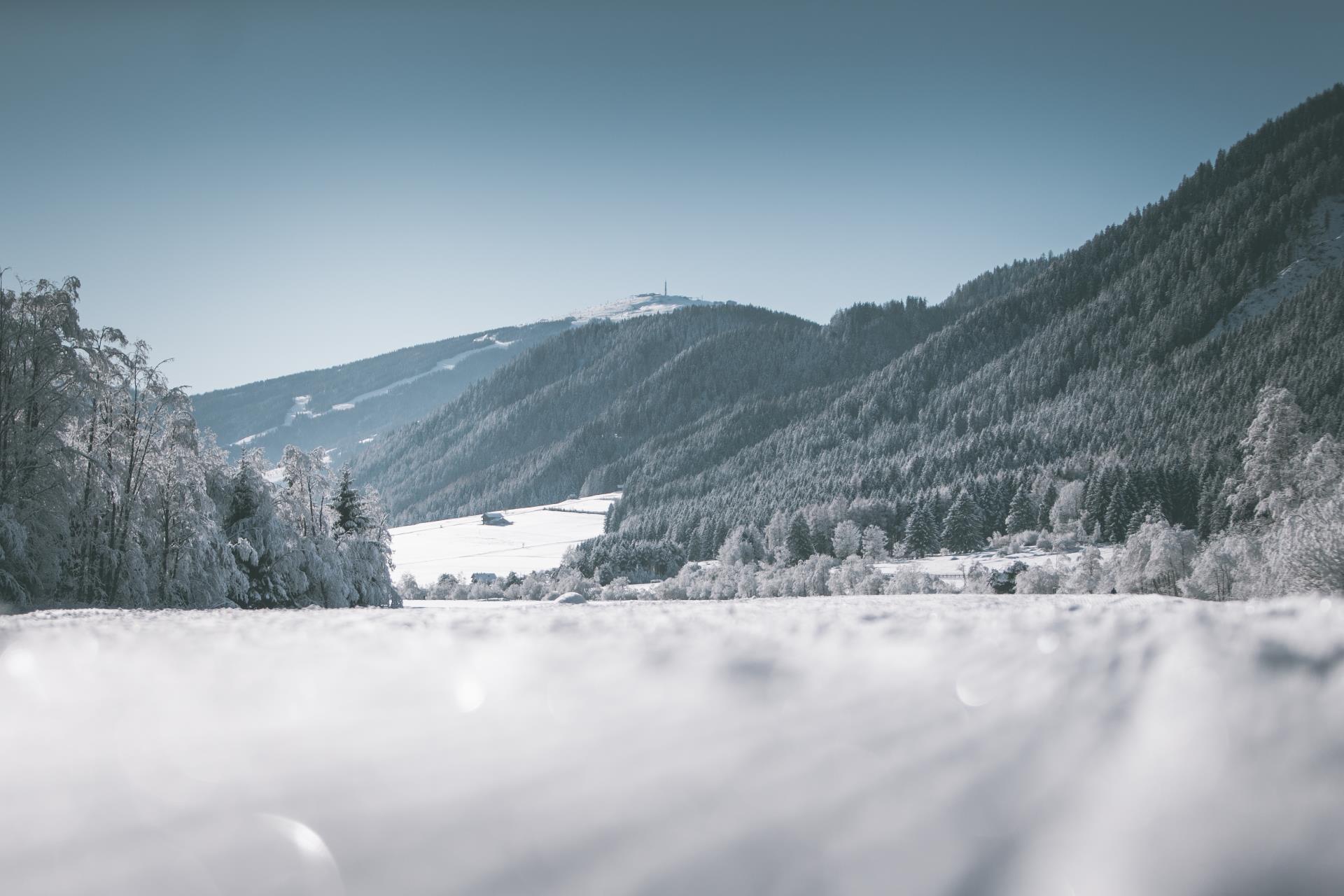 Winter hike: Circular Path Rasen Rasen-Antholz/Rasun Anterselva 1 suedtirol.info