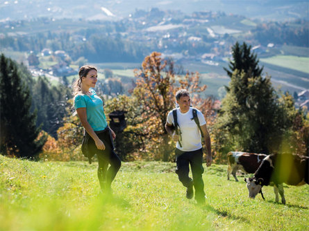 Escursione dalla malga Taser a Scena Scena 3 suedtirol.info