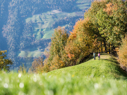 Escursione dalla malga Taser a Scena Scena 1 suedtirol.info