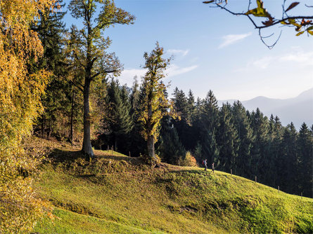 Escursione dalla malga Taser a Scena Scena 2 suedtirol.info