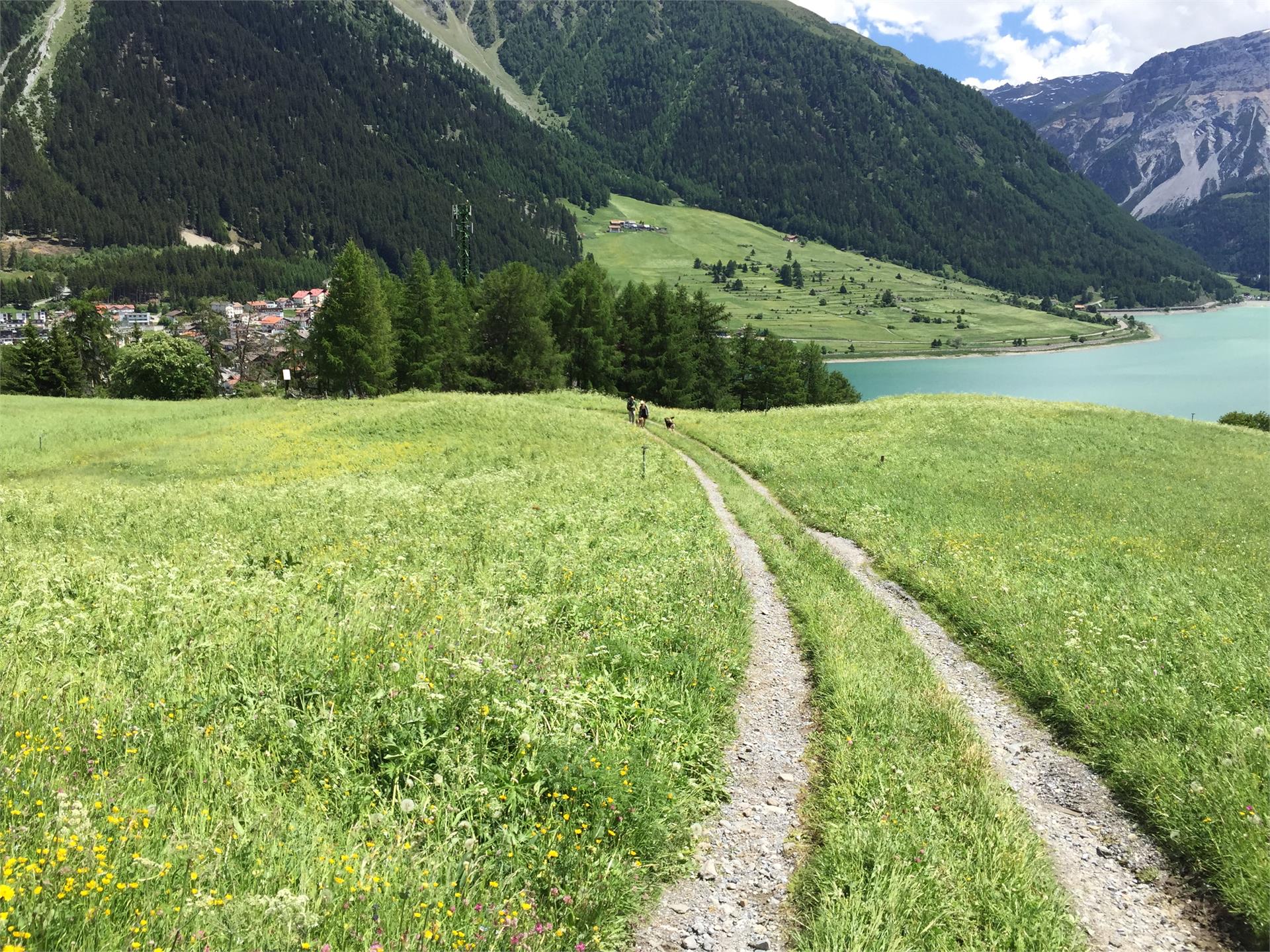 rumbling tour: Resia - Vallierteck - Froj Graun im Vinschgau/Curon Venosta 3 suedtirol.info