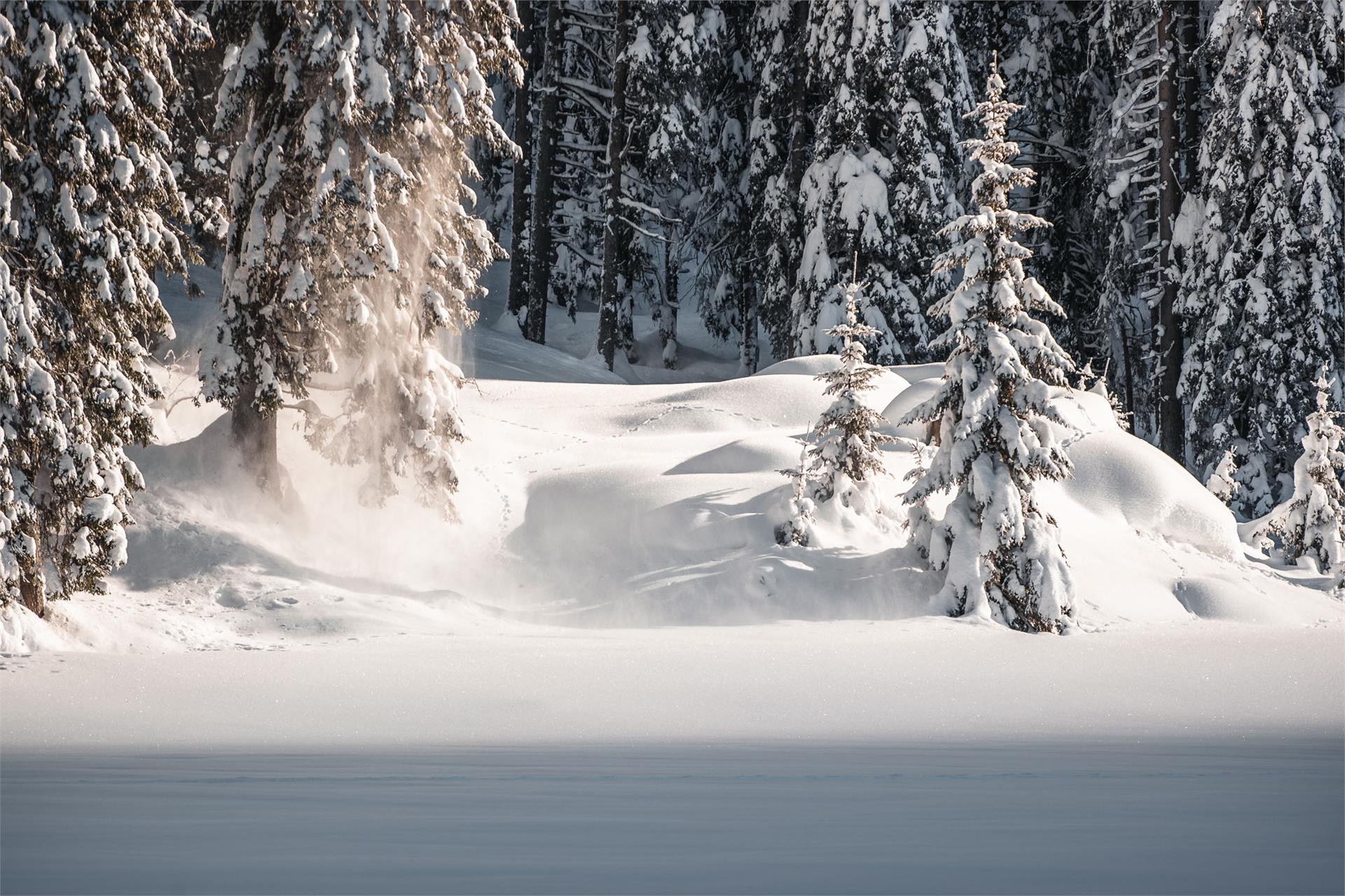 Winter walking tour - Braies Vecchia/ Altprags Prags/Braies 1 suedtirol.info