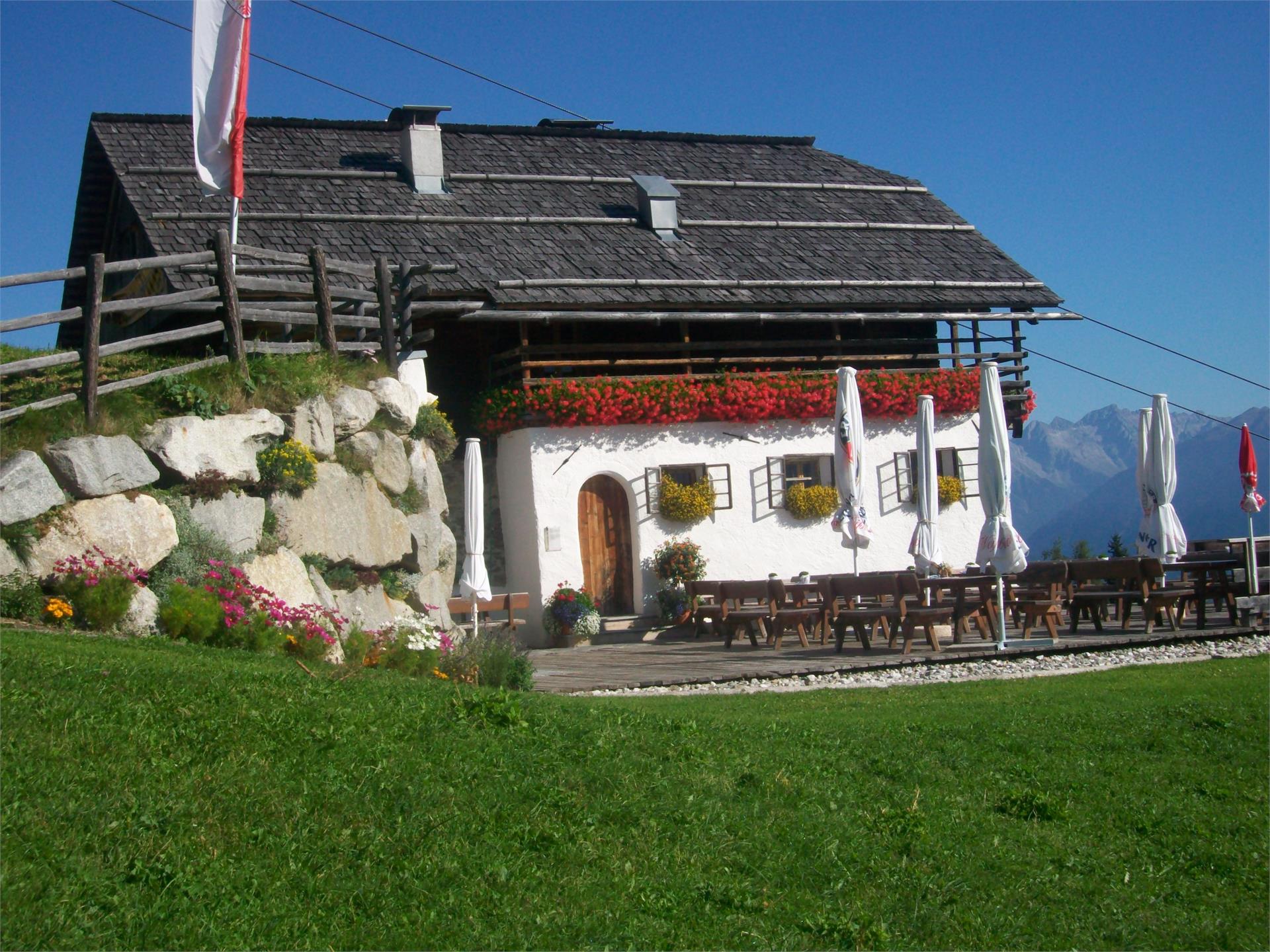 Escursione alla Malga Oberegger Valdaora 1 suedtirol.info