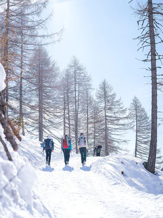 Winterwanderung zur Timmelsalm - Moos in Passeier - #6 - suedtirol.info