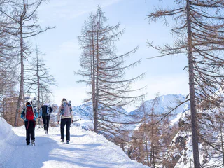 Winterwanderung zur Timmelsalm - Moos in Passeier - #5 - suedtirol.info