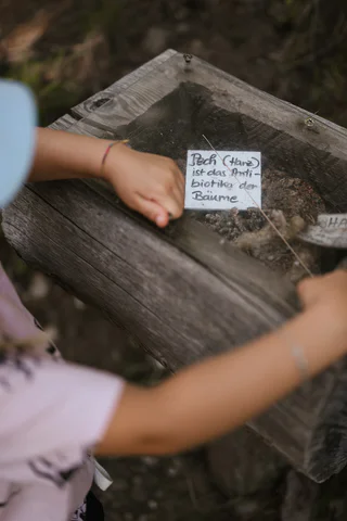 Walderlebnispfad Aschbach - Algund - #15 - suedtirol.info